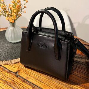 COACH Andrea Carry-All Mini Crossbody purse